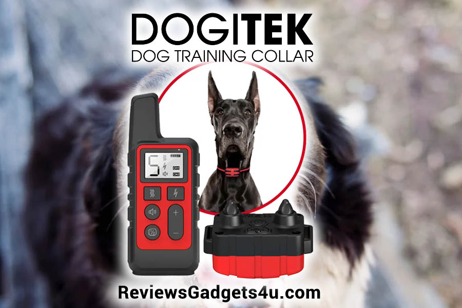 Qinux Dogitek